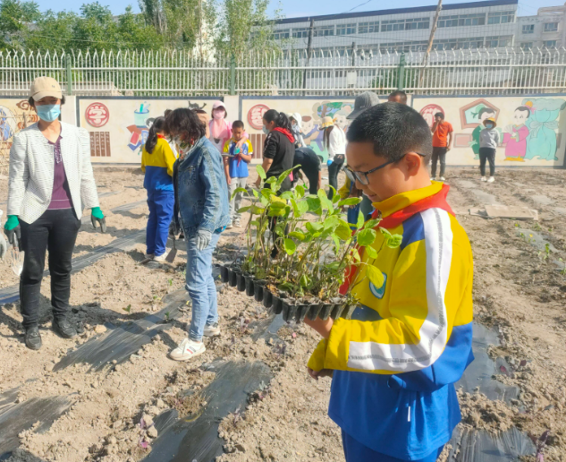 提质赋能让优质教育的阳光照亮每个孩子的生长之路