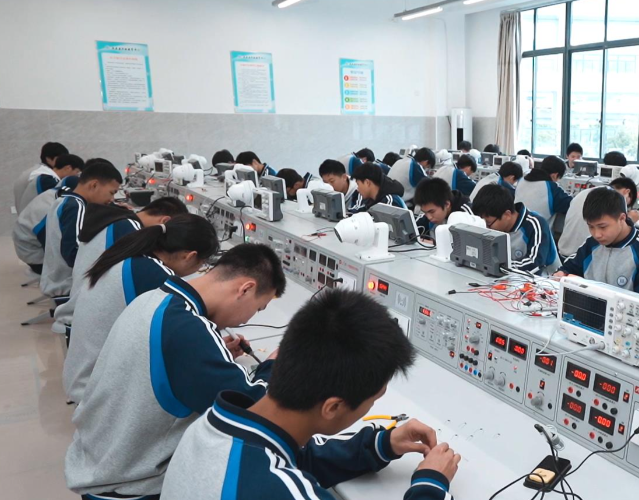 在区域内自由流动高效配置最大化发挥教