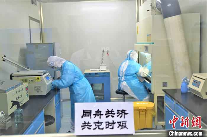 分工合作,共抗疫情。 杜炳勋 摄  探访新疆兵团“核酸检测人员”:离病毒最近 如“雷区”排雷